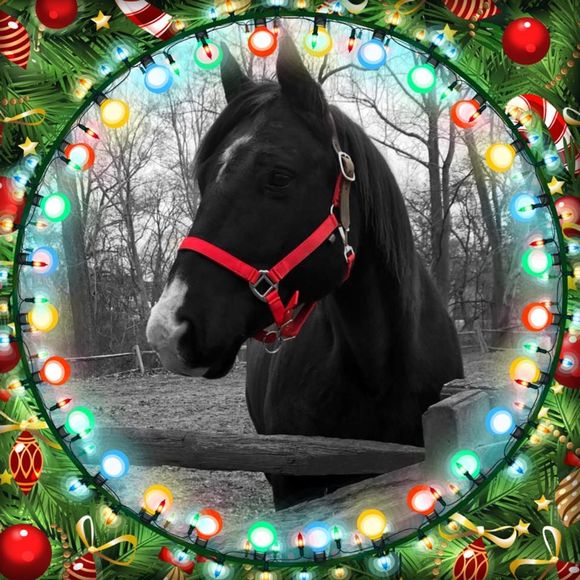 Meet your Posher, Francine - Picture 1 of 1